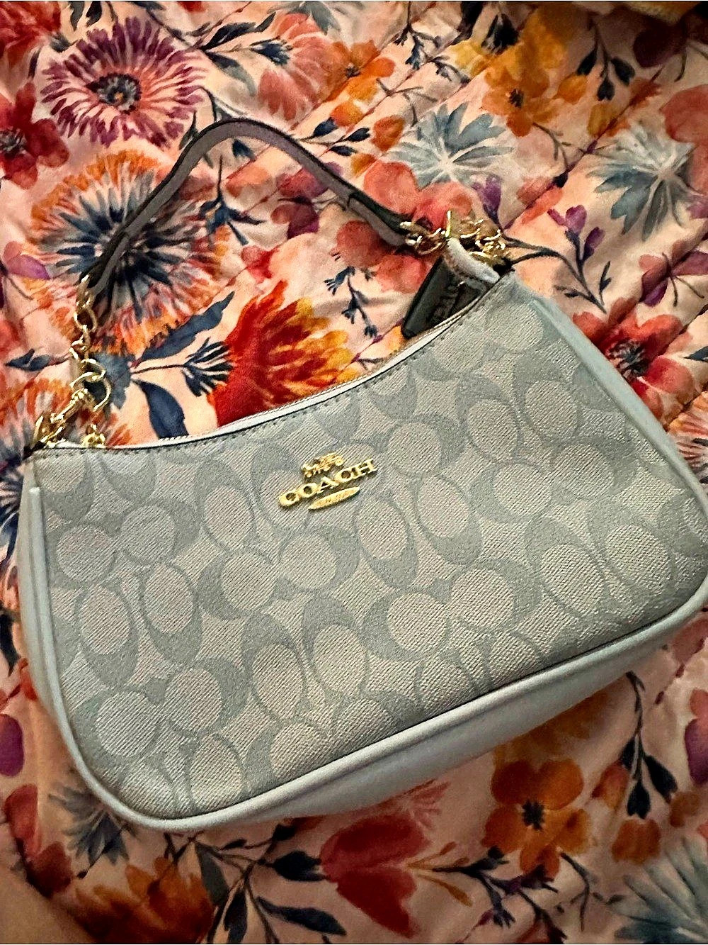 C Teri Shoulder Bag in Signature Canvas Light Blue Signature Canvas Not authenti